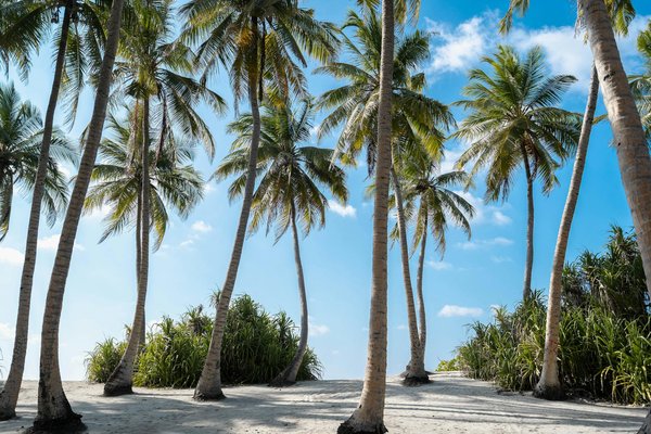 Hoe beïnvloedt klimaatverandering populaire reisbestemmingen?