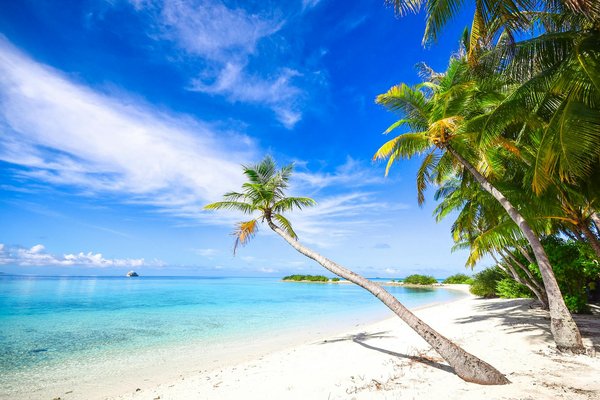 Hoe kan ik mijn ecologische voetafdruk tijdens het reizen verkleinen?